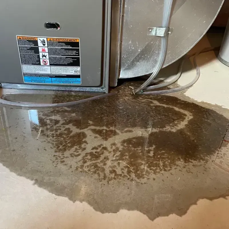 Appliance Leak Cleanup in Pinedale, WY